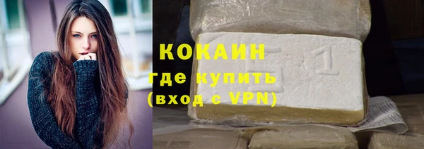 шишки Великий Новгород
