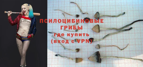 герыч Липки