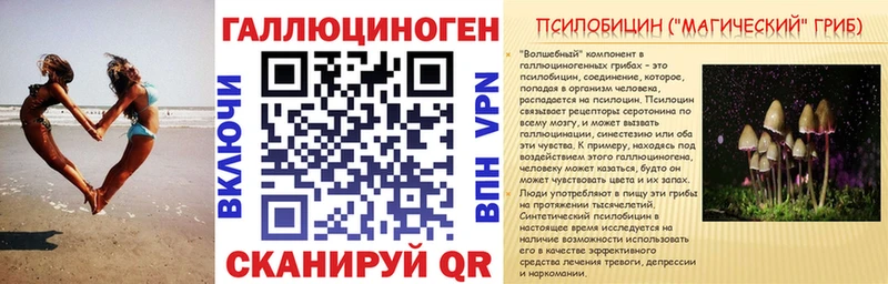 Галлюциногенные грибы Cubensis  Купить где  Зуевка 